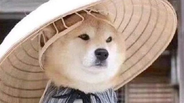 Royal公会日月鹿竞速