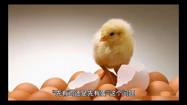 先有鸡还是先有蛋