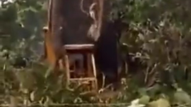 还记得当年网上这个图片吗