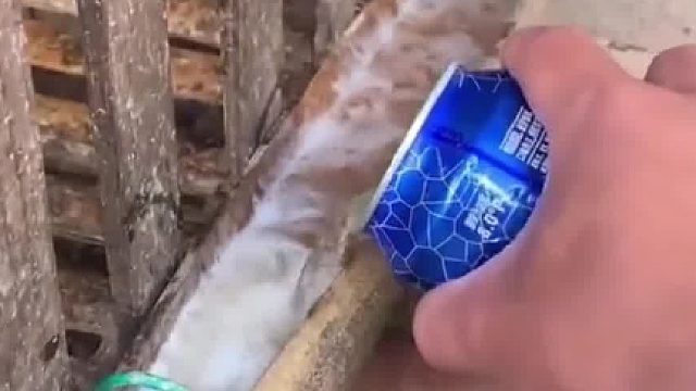 腌制的手法有点超前