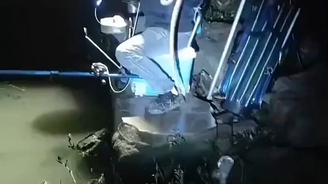 烦死了，跑了一条大板鲫