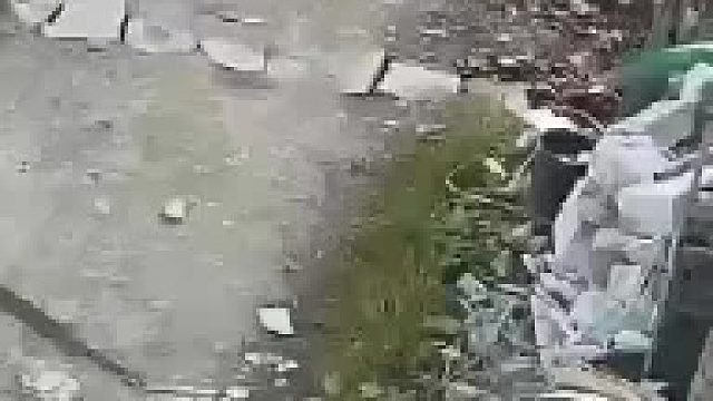 以后大家遇见小奶狗，一定下车抱到一边