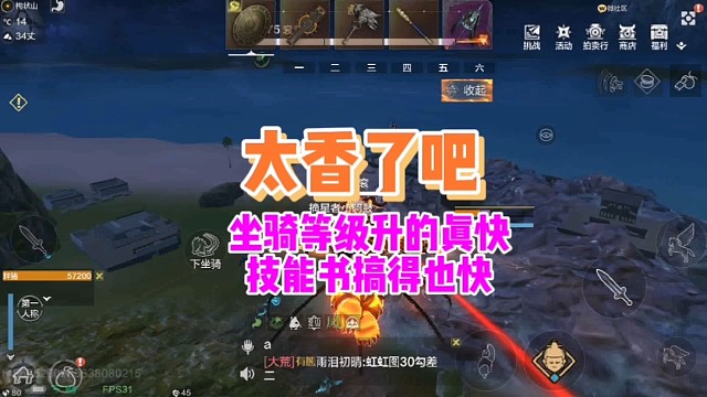 太香了吧坐骑等级和技能书太简单了