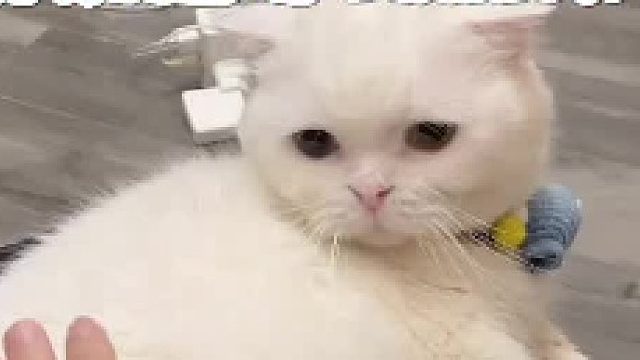 终于如愿以偿了，医院wifi信号真好