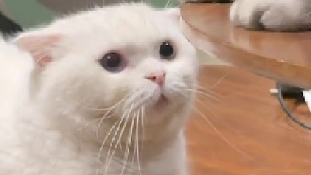 原来你是这么呆傻的孩子