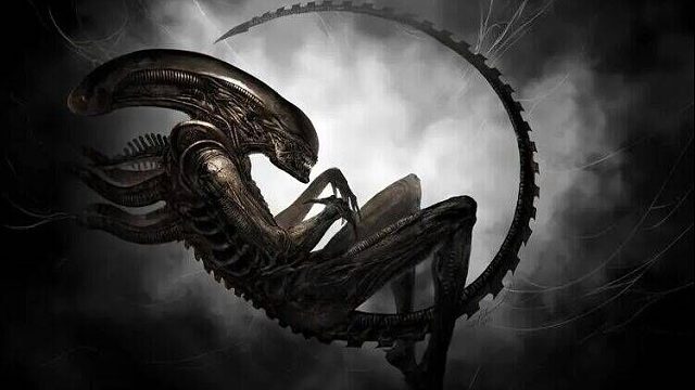 （全新异形VS人类）2023-8-2上