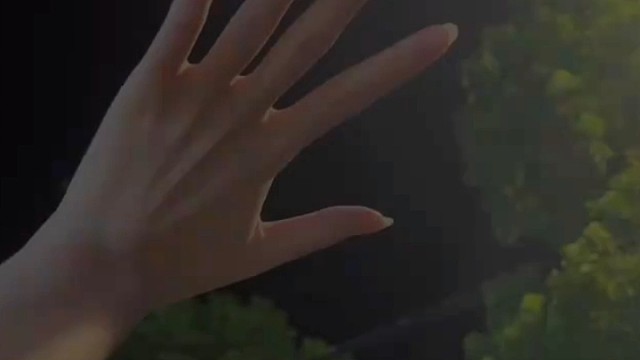 手掌就这么大，握不住的东西太多了.......