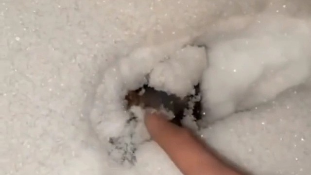 大晚上的一起来看恐怖片叭～