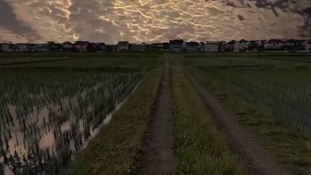 一个人也很温和