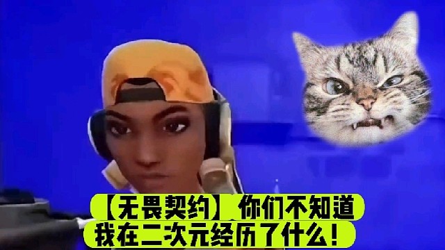 【无畏契约】你们不知道我在二次元经历了什么！