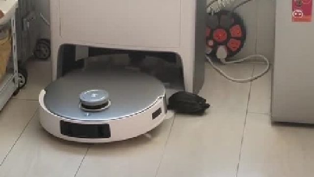 王八：这辈子没跑这么快过