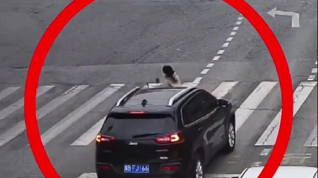 女子骑车闯红灯被撞倒地，未佩戴安全头盔头部受伤！