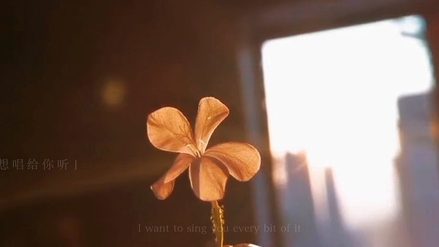 人生不就是这样吗？