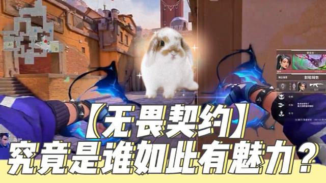 【无畏契约】究竟是谁如此有魅力？