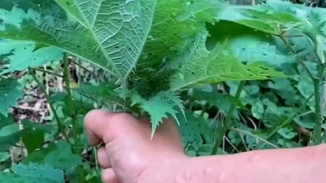 握住手疼放了心疼