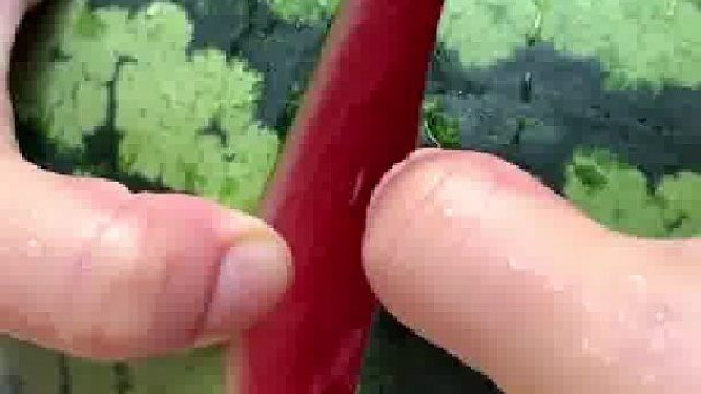 今天我要告诉我妈一个道理，什么叫做“便宜无好货”