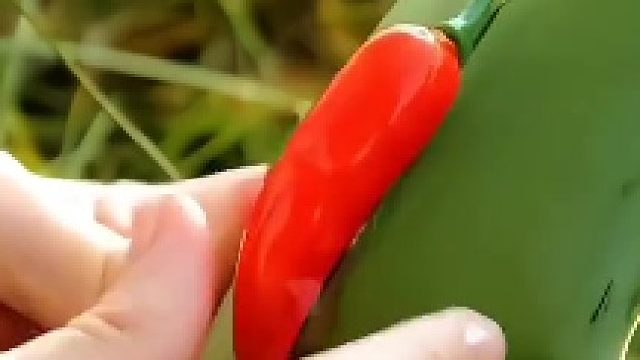 生活小技巧，衣服的正确挂法