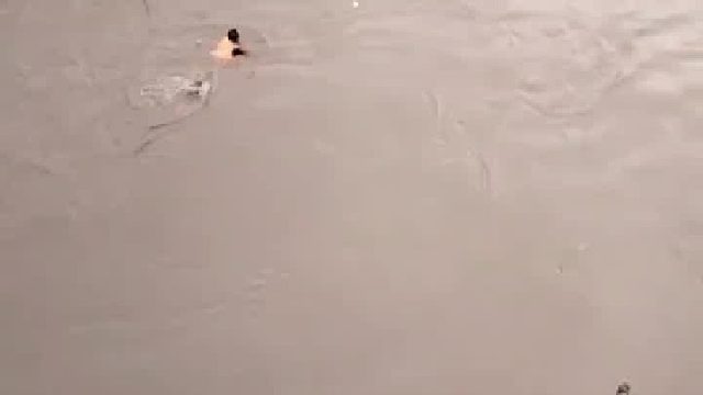 救援队翻船后仍死死抓住不放，希望保护船只继续救人