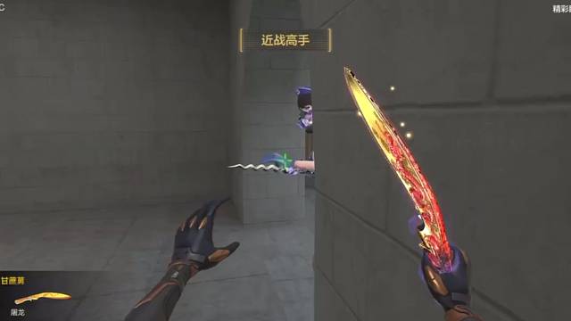 蜗居狗洞里的出其不意