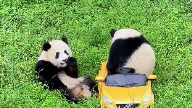 渝爱坐跑车，上去两分钟就把坐子拆了