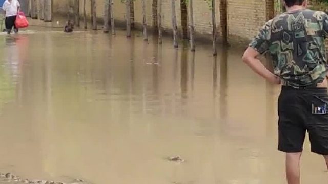 两只狗狗被主人救了出来