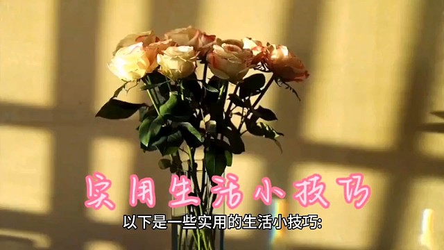 实用生活小技巧