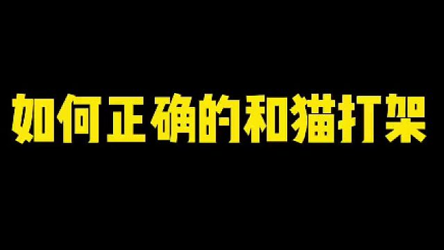 自从发明了这招，跟猫打架就没输过笑死！