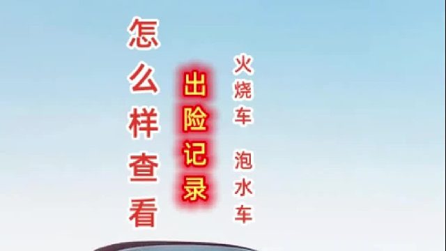 车辆出险记录#出险记录#事故车#二手车
