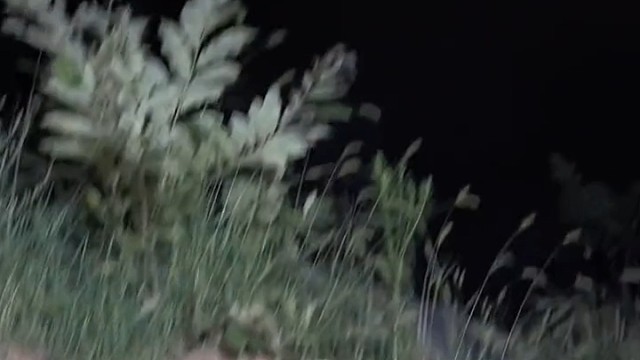 大哥真讲究，还请了保安！