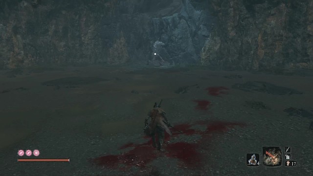 只狼之大战无首狮子猿(第二次)