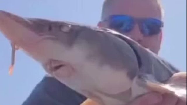 男的吓傻了。赶快跑