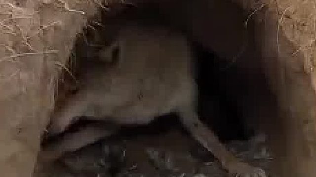 上面那个法憨憨在那里干嘛