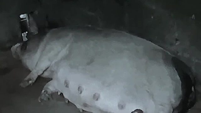 太不像话了！居然独生子