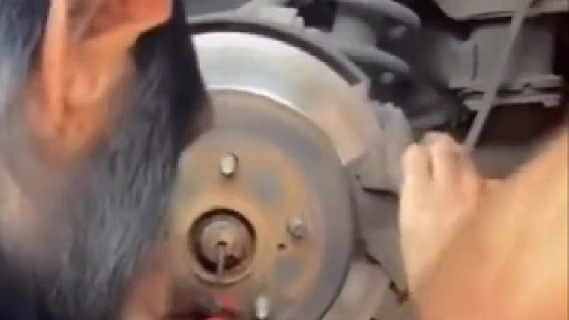 再进化该和你谈工资了