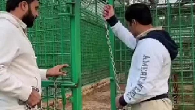 这个链子是属有点多余