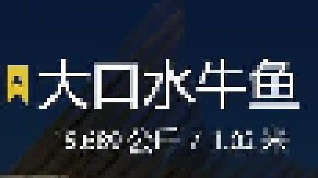 28图大口水牛鱼上星