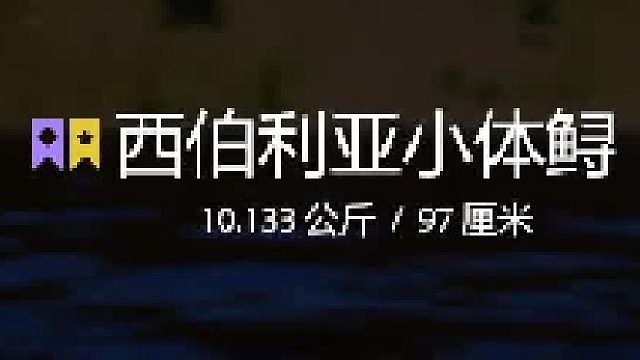 30图西伯利亚小体鲟快速上星