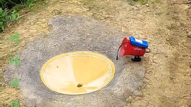 第一次见这样捕捉蝼蛄