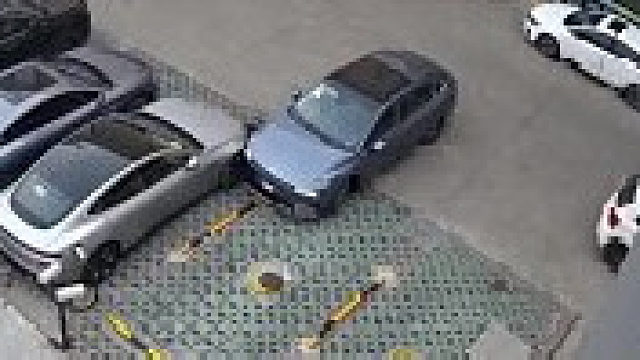 百分八十是新手，对不？