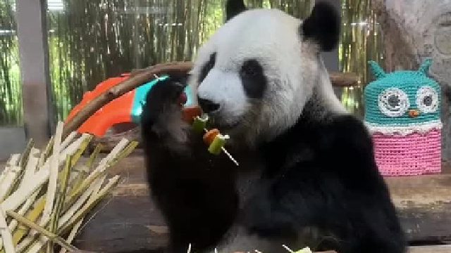 两兄弟吃个串串差别咋就这么大呢