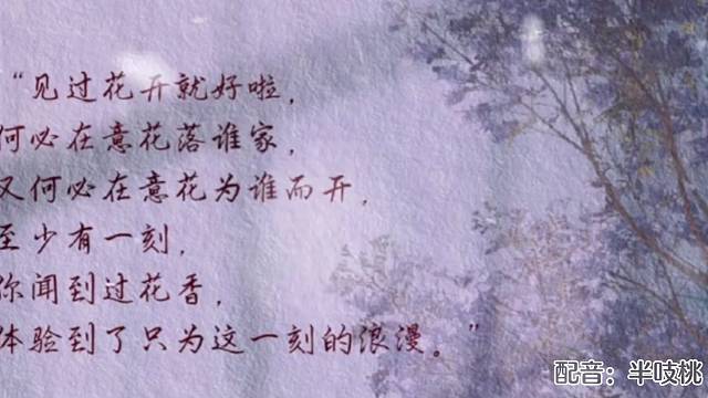 见过花开就好啦