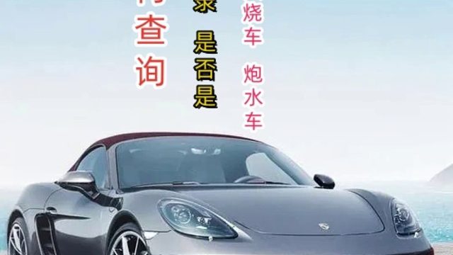 维保记录查查询.#维保记录#二手车#事故车