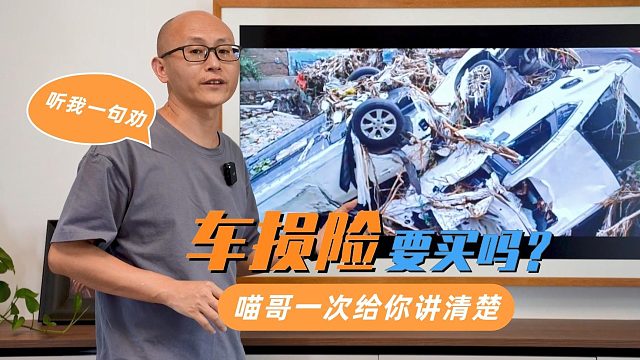 车损险到底要不要买？暴雨过后的灵魂拷问，喵哥帮你做个决断
