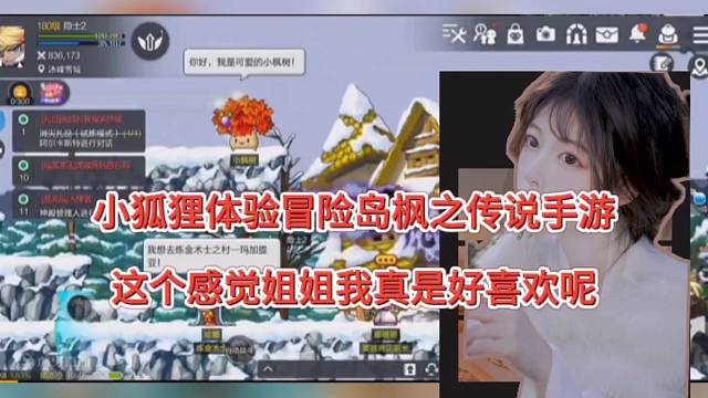 小狐狸体验冒险岛枫之传说手游，这个感觉小姐姐真的好喜欢呢！