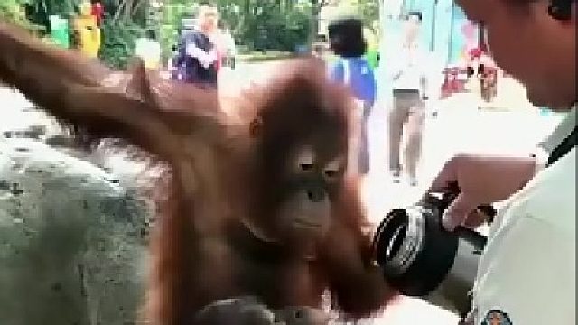 好像我们老板喝水样子