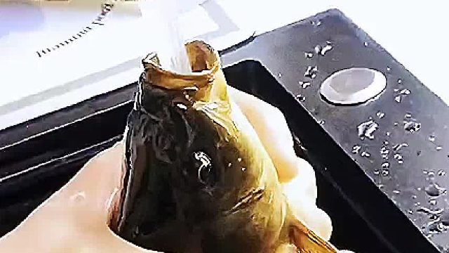 你是想把它活活淹死啊