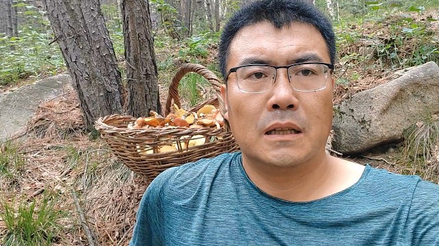 上山捡蘑菇去吗？