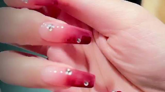 【客照】火烈鸟