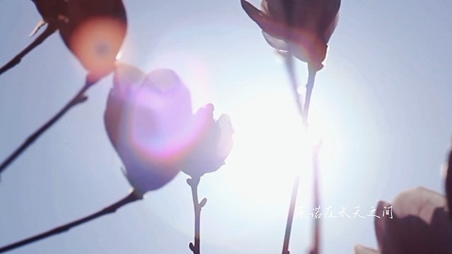 难得糊涂，容易快乐……