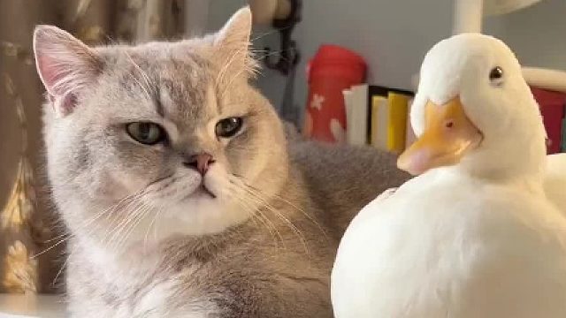 同样的事经历两遍破防了